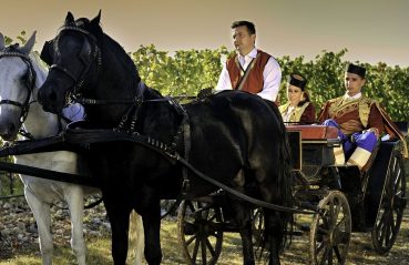 Crna Gora zemlja vina