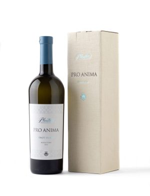 Pro Anima Pinot Blanc u kutiji
